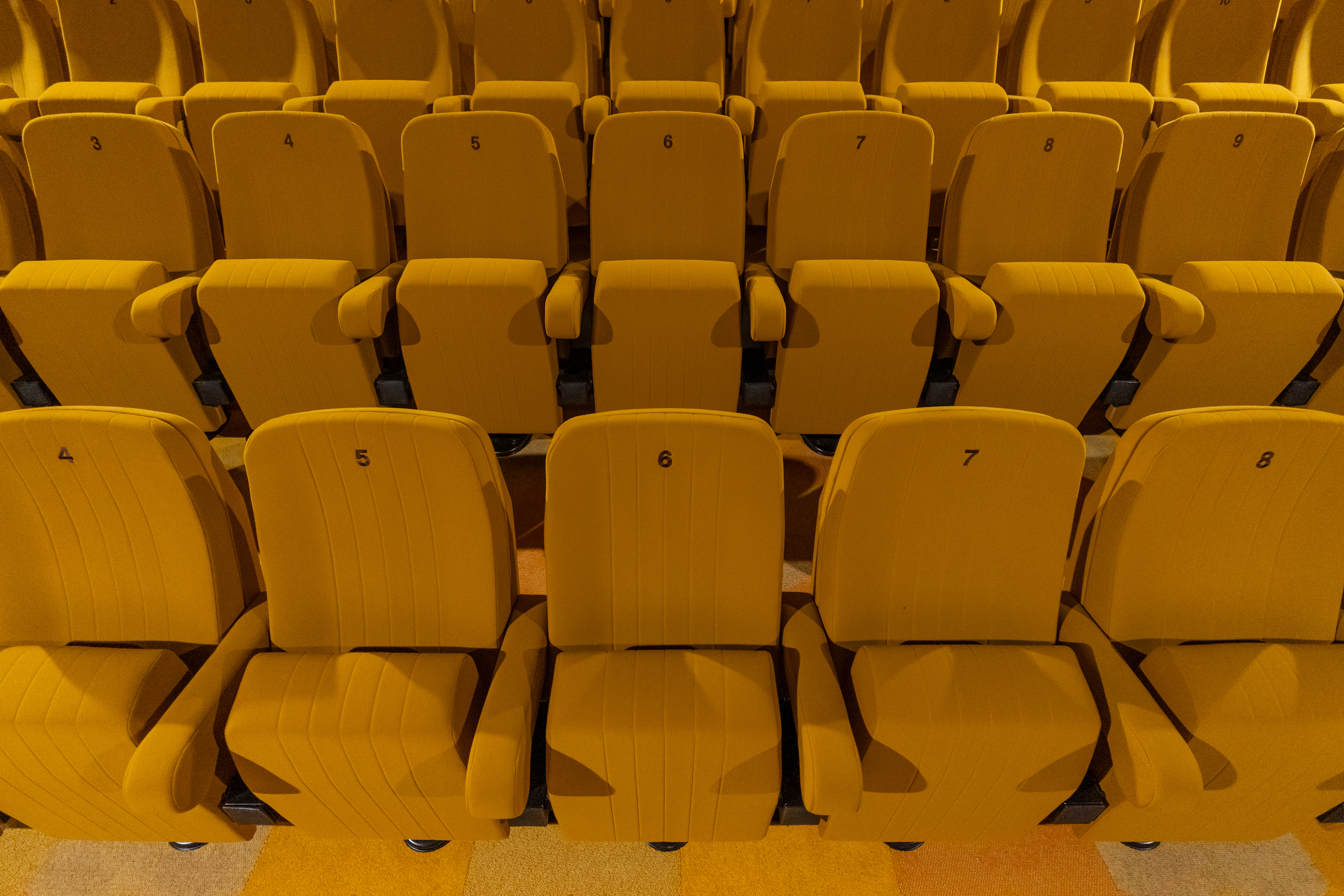 FilmTheater FilmkrantDag-018.jpg